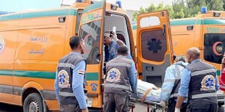 10 مصابين في حادث انقلاب ميكروباص على طريق الواحات بالمنيا - عرب فايف