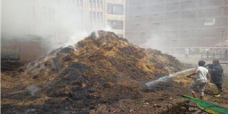 إخماد حريق داخل حوش مدرسة ناصر الزراعية بمدينة طنطا - عرب فايف