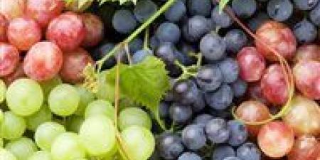 بعد وصوله لـ 150 جنيه.. موعد انخفاض سعر العنب - عرب فايف