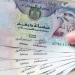 سعر الدرهم الإماراتي مقابل الجنيه المصري اليوم الخميس 1 مايو 2025 - عرب فايف