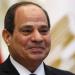 الرئيس السيسي يبحث مع وزير الزراعة مستجدات تطوير محطة الزهراء للخيول العربية - عرب فايف
