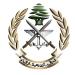 الجيش: توقيف 6 أشخاص لتورطهم بإشكال في صديقين و4 آخرين بجرم إطلاق نار في الدلهمية - عرب فايف