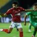 تعرف على غيابات الأهلي أمام سيراميكا كليوباترا في الدوري غدًا - عرب فايف