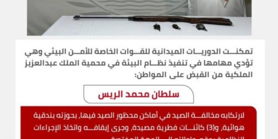 القبض على مخالفين لنظام البيئة - عرب فايف