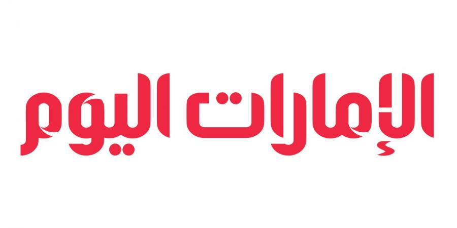 «المالية» تتبادل الخبرات مع إندونيسيا - عرب فايف