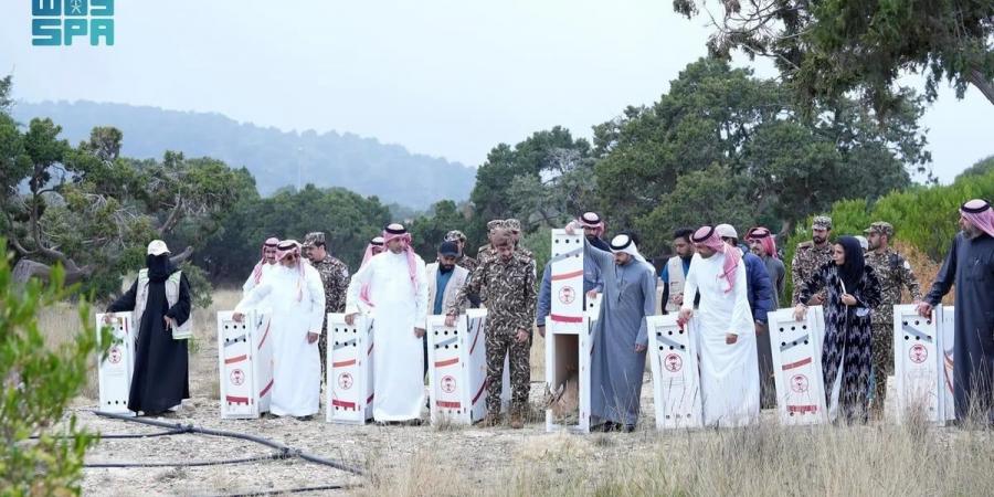 لتعزيز التنوع الأحيائي.. "الحياة الفطرية" تطلق 26 كائنًا مهددًا بالانقراض في متنزه السودة - عرب فايف