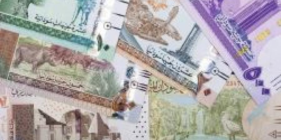 سعر الجنيه السوداني مقابل الريال السعودي اليوم الخميس 21 نوفمبر 2024 في منتصف التعاملات - عرب فايف