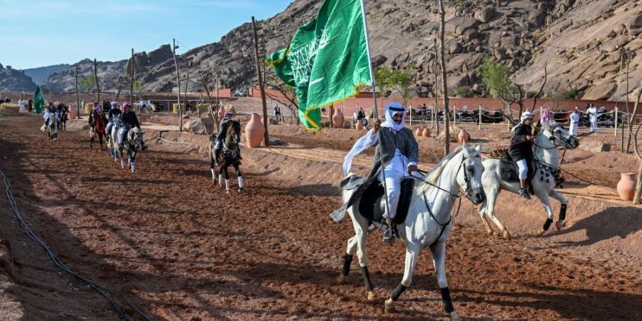 شاهد| عروض الخيل والهجن والسامري.. تشكيلات فنية تبهر زوار "وسم حائل" - عرب فايف