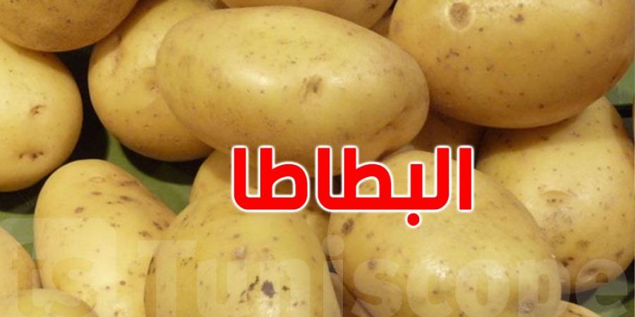 عاجل : 3 آلاف طن من البطاطا الموردة سيتم ضخها في أسواق الجملة - عرب فايف