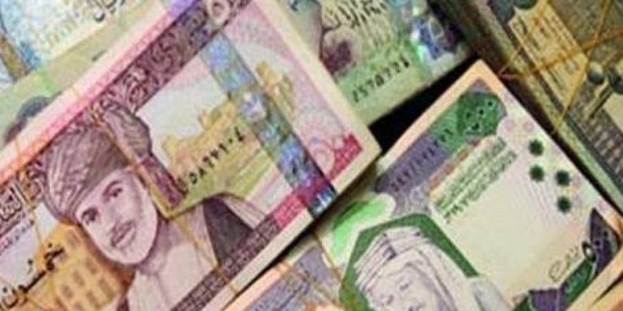 أسعار العملات العربية اليوم السبت 23-11-2024 - عرب فايف