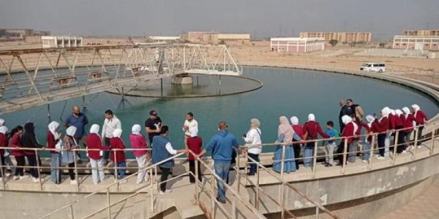 جهاز العاشر من رمضان يستقبل طلاب مدرستين للتعرف على المشروعات الحيوية بالمدينةاليوم الأحد، 24 نوفمبر 2024 10:21 صـ   منذ 27 دقيقة - عرب فايف