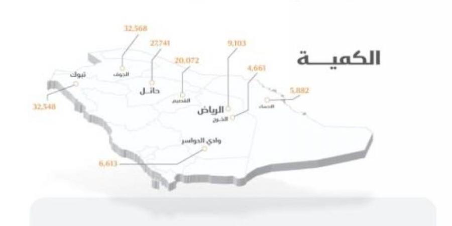 الأمن الغذائي : صرف 261 مليون ريال مستحقات الدفعة السادسة لمزارعي القمح المحلي - عرب فايف