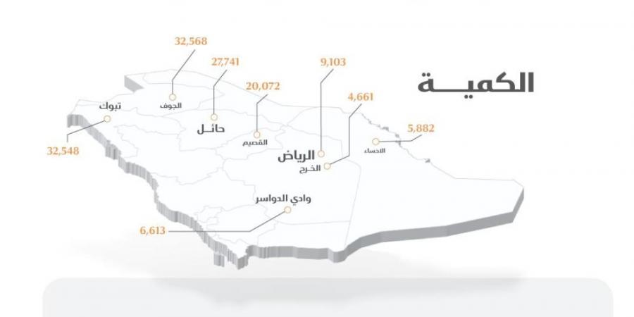 صرف 261 مليون ريال مستحقات الدفعة السادسة لمزارعي القمح المحلي - عرب فايف