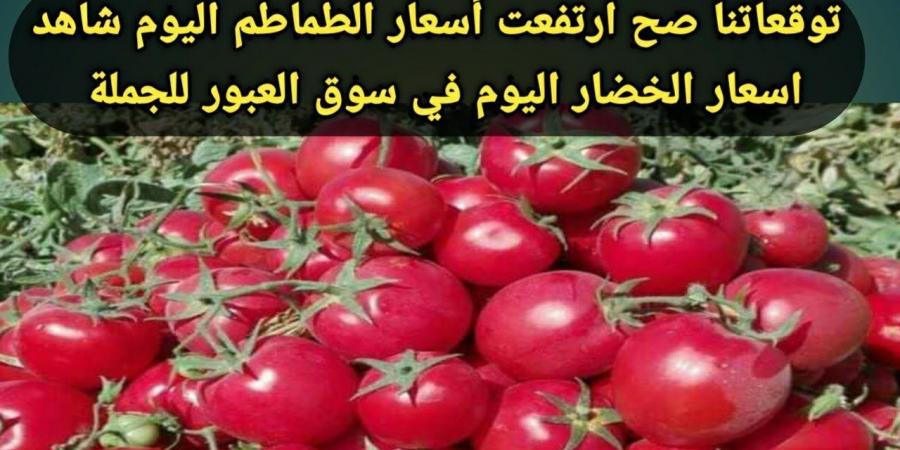 هل يستمر الانخفاض في الأسواق؟.. سعر الطماطم اليوم الأحد 24-11-2024 في سوق العبور للمستهلك - عرب فايف