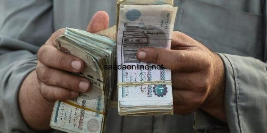 حالات الجمع بين معاشين وفق قانون التأمينات الجديد - عرب فايف