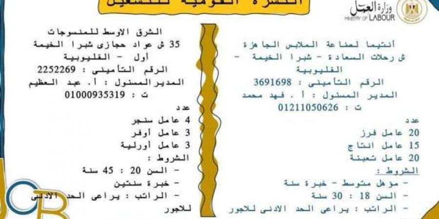 مديرية العمل بالقليوبية توفر 920 فرصة شاغرة للشباب في 16 شركة - عرب فايف