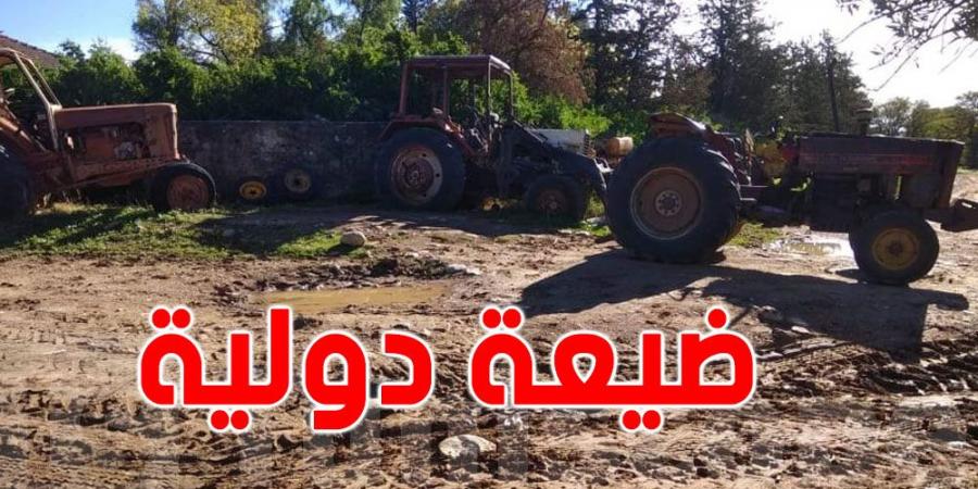 وزير الفلاحة يزور ''الضيعة المثالية'' بصواف - عرب فايف