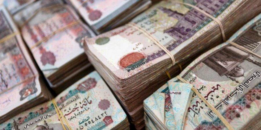 شهادات ادخار البنك الأهلي المصري ترتفع إلى 2.647 تريليون جنيه بنهاية يونيو الماضي - عرب فايف