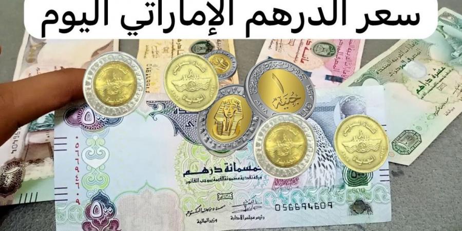 سعر الدرهم الاماراتي مقابل الجنية المصري اليوم الإثنين 2-12-2024 في مختلف البنوك المصرية - عرب فايف