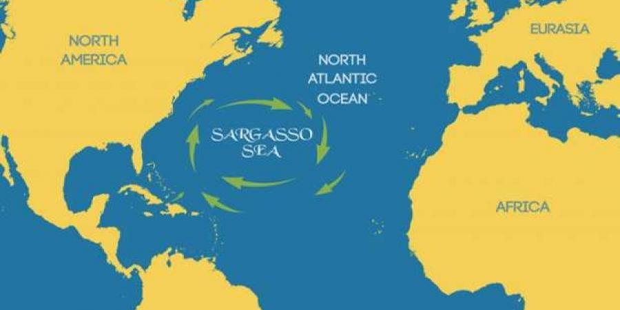 قصة بحر سارجاسو المرعب عديم الشواطئ.. ما علاقته بمثلث برمودا؟ - عرب فايف