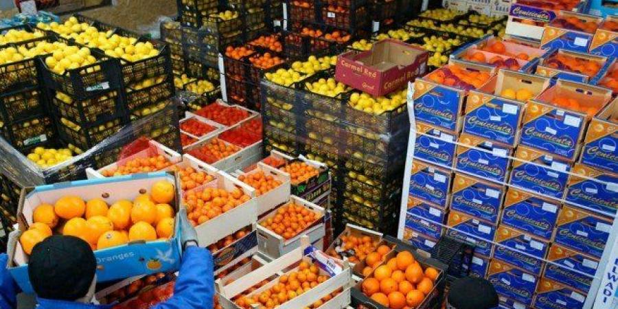 أخبار الرياضة - 18% ارتفاعا في صادرات المواد الغذائية المصرية الى الأسواق العالمية - عرب فايف