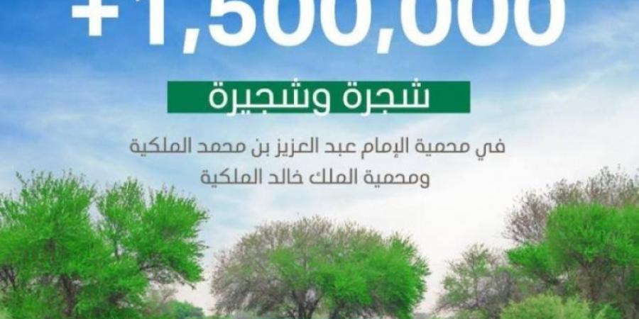 محمية الإمام عبدالعزيز بن محمد الملكية تحتفي بزراعة 1.5 مليون شجرة - عرب فايف