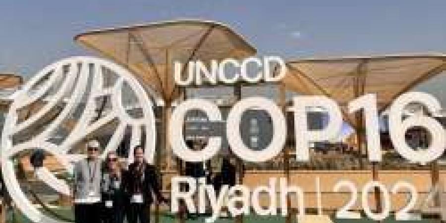 فى مؤتمر COP16: المملكة تقدم  الحل الأخضر لتقليل الكربون ومواجهة التغيرات المناخية - عرب فايف