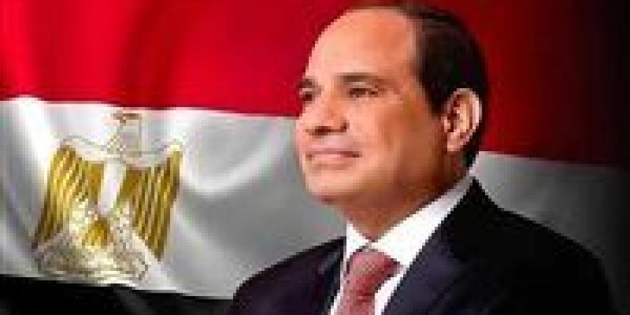 الرئيس السيسي: مصر ترحب بالتعاون مع النرويج في مجال إنتاج الهيدروجين الأخضر - عرب فايف