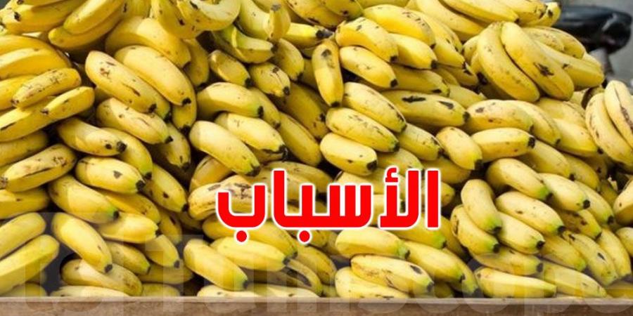 ''البنان ''في تونس: حرب الأسعار بين المصري و الأكوادوري - عرب فايف