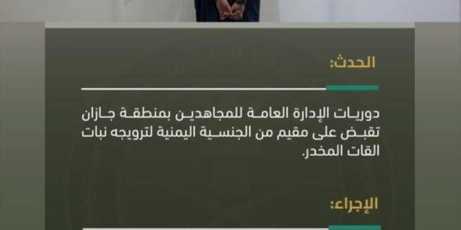 "دوريات المجاهدين" بمنطقة جازان تقبض على مقيم لترويجه نبات القات المخدر - عرب فايف