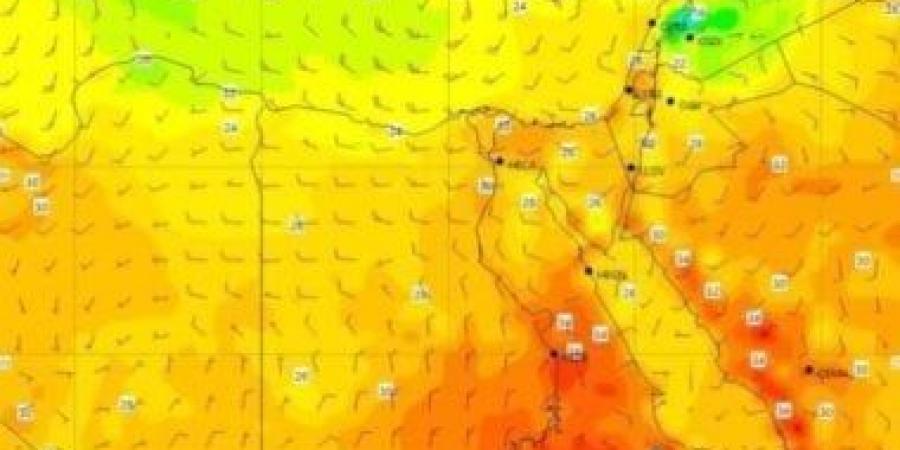 الأرصاد الجوية عن حالة الطقس اليوم: انخفاض طفيف فى درجات الحرارة.. فيديو - عرب فايف