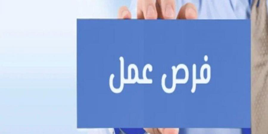 بمرتبات 15 ألف ريال.. طريقة التقديم لوظائف السعودية - عرب فايف