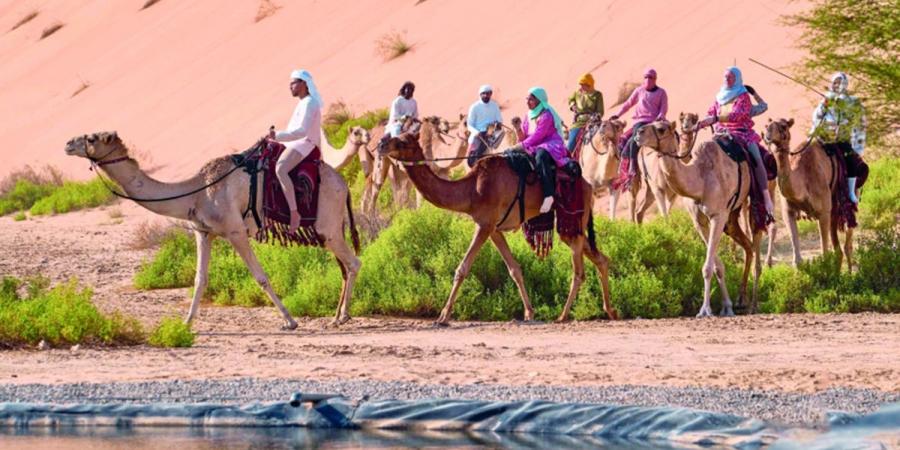 رحلة الهجن تقطع الصحراء الغربية في الطريق إلى وجهتها النهائية - عرب فايف