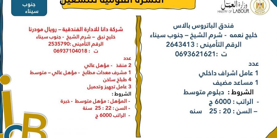 وزارة العمل تعلن عن 7878 فُرصة عمل جديدة في 101 شركة خاصة - عرب فايف