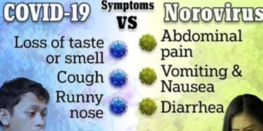 وباء جديد مرعب فى شتاء 2025.. قىء قاتل وإسهال فما هو «نوروفيروس»؟ - عرب فايف
