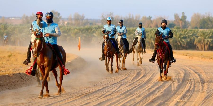 لمسافة 120 كم.. "الزايدي" بطلاً لسباق التحدي للقدرة والتحمل - عرب فايف