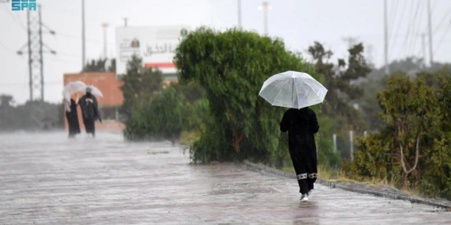 طقس الأحد.. أجواء باردة وصقيع بالصباح الباكر على أجزاء بـ9 مناطق - عرب فايف