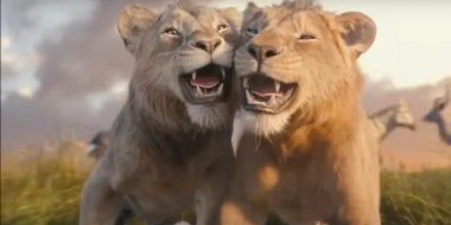 Mufasa يحقق 35 مليون دولار إيرادات فى 4100 صالة سينما - عرب فايف