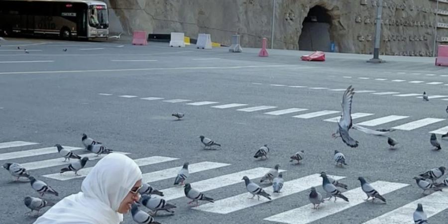 بعد الانفصال عن زوجها.. رنا سماحة تؤدي مناسك العمرة: بداية جديدة وحياة جديدة - عرب فايف