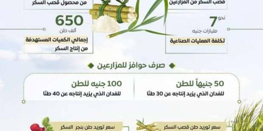 8 معلومات تكشف استعدادات الحكومة لموسم قصب السكر 2025 - عرب فايف