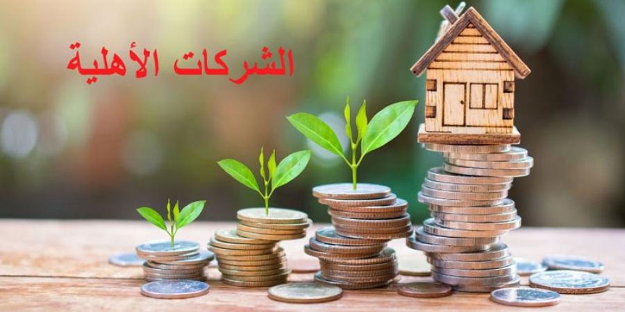 2025 ...سنة دعم الشركات الصغرى والمتوسطة والأهلية - عرب فايف