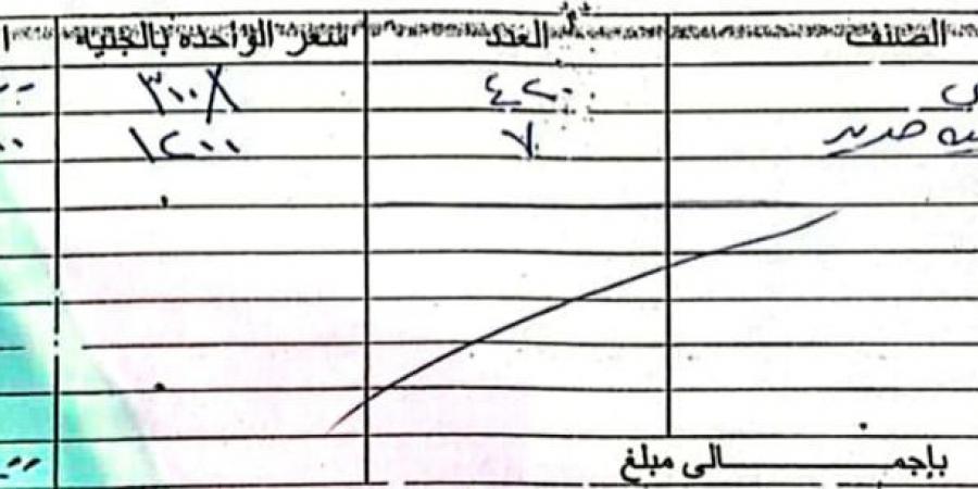 المصري يرفض سداد قيمة تلفيات ملعب برج العرب في مباراة الأهلي  - عرب فايف