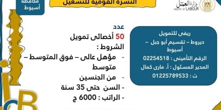 وزارة العمل تعلن عن 3215 فرصة عمل جديدة للشباب في 8 محافظات | الشروط وخطوات التقديم - عرب فايف