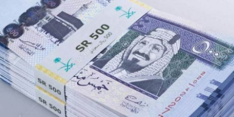 سعر الريال السعودي مقابل الجنيه المصري اليوم الخميس 2 يناير 2025 - عرب فايف