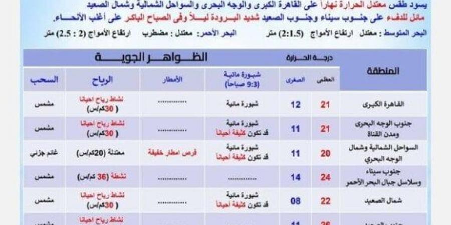 بسبب هذه الظاهرة.. بيان عاجل من الأرصاد بشأن حالة الطقس اليوم الجمعة 31 يناير 2025 - عرب فايف