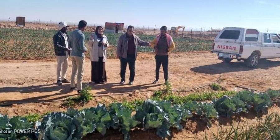 فرق بحثية من مركز بحوث الصحراء تقدم الدعم الفني والإرشادي للمزارعين في...اليوم السبت، 1 فبراير 2025 10:24 صـ   منذ 22 دقيقة - عرب فايف