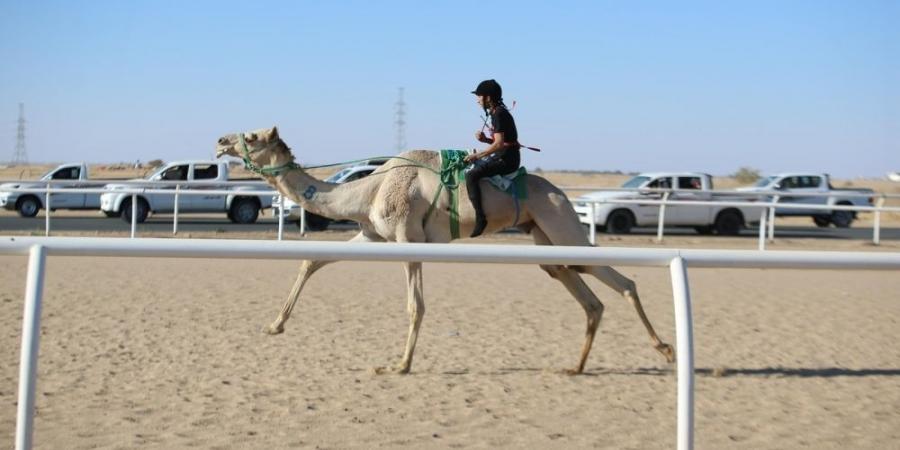 سعودي وقطري وإماراتي يتنافسون على "سيف السعودية" - عرب فايف