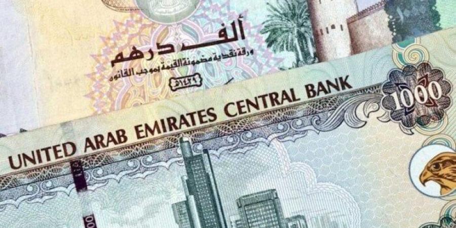 سعر الدرهم الإماراتي مقابل الجنيه المصري اليوم الإثنين 3 فبراير 2025 - عرب فايف