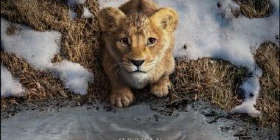 653 مليون دولار عالميًا لـ فيلم Mufasa: The Lion King منذ ديسمبر 2024 - عرب فايف