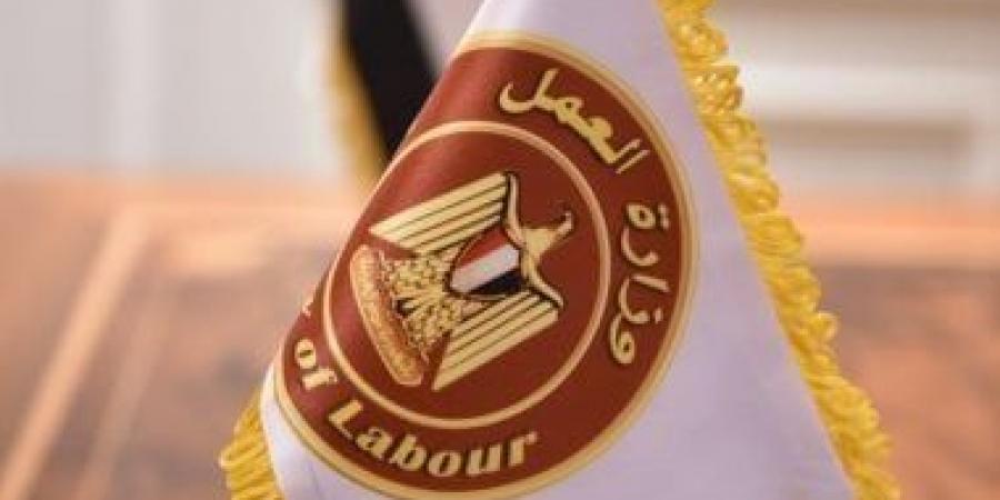 وزير العمل: 140 فرصة عمل بالخارج برواتب بين 19 لـ 40 ألف جنيه - عرب فايف